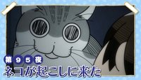 Night 95 The Cat Comes to Wake Me Up