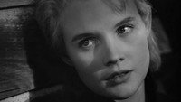 «Куколка (1956)» — обои к фильму #6