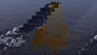 Super Ships