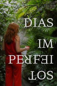 Dias Imperfeitos (2025) poster