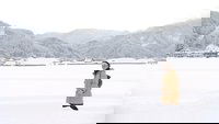 The Magic of Winter in Akita