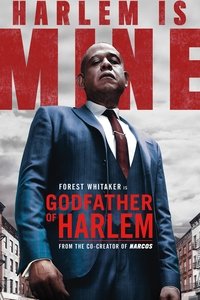 Godfather of Harlem 1×1