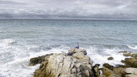 «Souffler plus fort que la mer (2016)» — обои к фильму #1