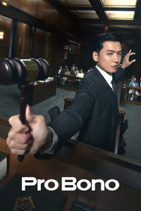Poster de Pro Bono