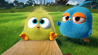 «Angry Birds. Пушистики (2017-2022)» — обои к мультсериалу #2