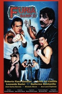 Furia de barrio (1993)