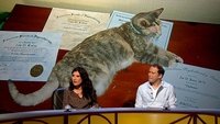 Hypnosis, Hallucinations & Hysteria