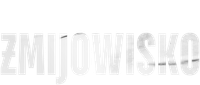 Логотип сериала «Żmijowisko (2019)» — (1 из 2)
