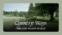 The Lod Valley in July
