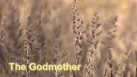 The Godmother