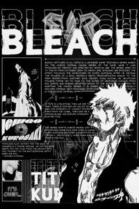 Постер аниме «Блич (2004-2012)» — (3 из 127)