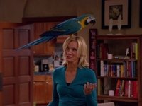 The Parrot Trap