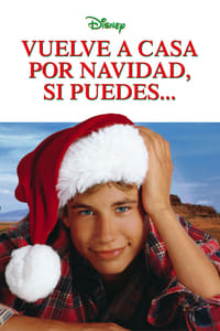 Poster de Estaré en casa para navidad