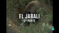 Episode 45