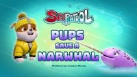 Sea Patrol Pups Save a Narwhal