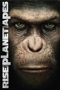 Постер фильма «Восстание планеты обезьян (2011)» — (13 из 95)
