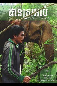 Dull Trail (2020)