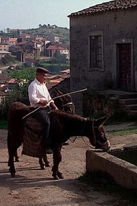 Imagem do Filme La Terre du viel homme