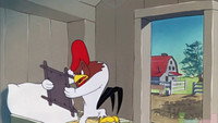 «The Rattled Rooster (1948)» — обои к мультфильму #1