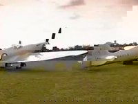 The Spitfire