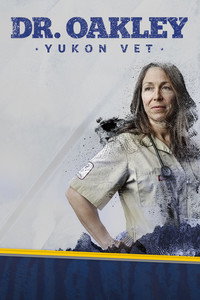 Постер сериала «Ветеринар из Юкона (2014)» — (6 из 31)