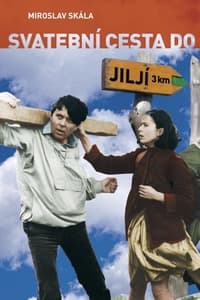 Svatební cesta do Jiljí (1983)