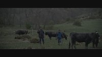 El molino