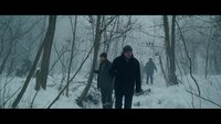 Snow and the Bear