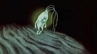 «Светлячок (1978)» — обои к мультфильму #6