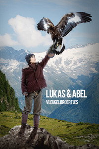 Lukas & Abel: Vleugelbroertjes (2015) poster
