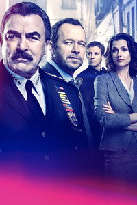 Постер сериала «Голубая кровь (2010 - 2024)» — (41 из 149)