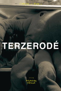 Terzerodé