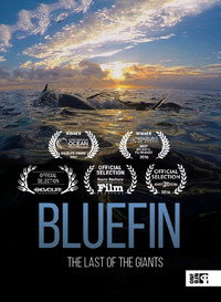 Постер фильма «Bluefin (2016)» — (2 из 3)