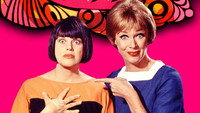 «The Mothers-In-Law (1967 - 1969)» — обои к сериалу #1