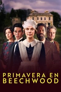 Poster de Amores Prohibidos