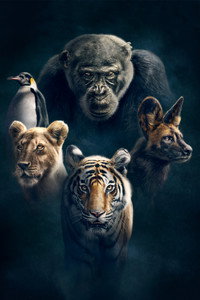 Постер сериала «Династии (2018)» — (8 из 35)
