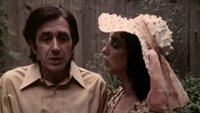 The Affairs of Janice