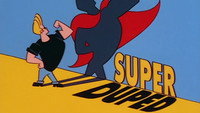 Super Duped