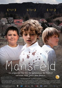 MansFeld (2013) poster