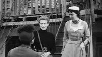 «Стелла (1955)» — обои к фильму #2