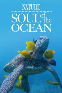 Poster de Soul of the Ocean