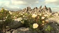 Ireland Sculpted Isle