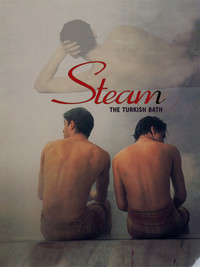 Steam: The Turkish Bath