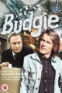 Poster de Budgie