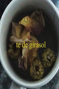Imagem do Filme te de girasol
