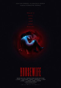Постер фильма «Домохозяйка (2017)» — (5 из 11)