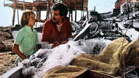 «Белые лошади лета (1975)» — обои к фильму #1