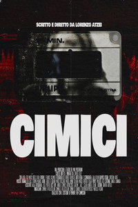 Cimici