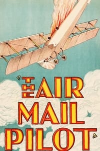 Poster de The Air Mail Pilot