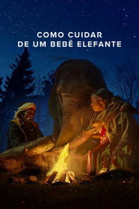 Imagem do Filme Como Cuidar de um Bebê Elefante
